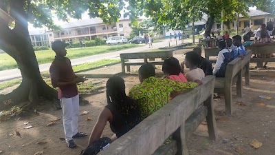 Photos of Cecilia Woke Plaza