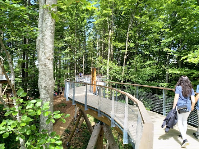 Baumwipfelpfad Neckertal