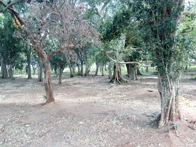 Photos of Muslim Cemetery - Mankulam