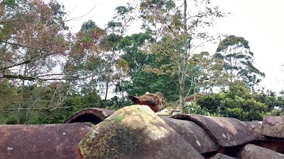 Photos of Marinilla Main Park