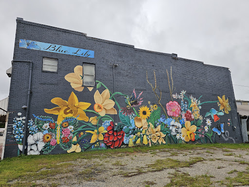 Blue Lily Cafe and Florist - Thumbnail