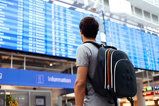 🎓 Ready to Study Abroad This Year? Start Planning Your Forex Today! post image