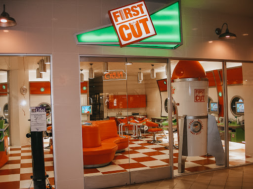 First Cut