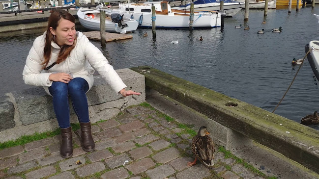 Åbningstider for Havnekontoret - Dragør Havn