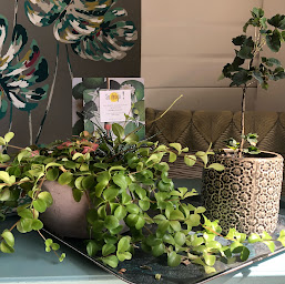 Photo n°2 de So Design ! à Ploeren (Magasin d'ameublement et de décoration)