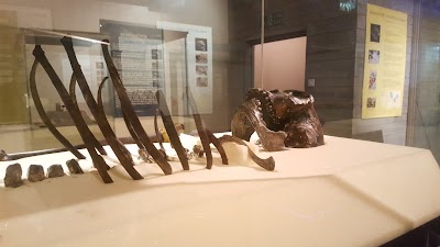 Photos of Kenya National Museum Society