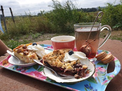 Terras en B&B Roosje van Ooij