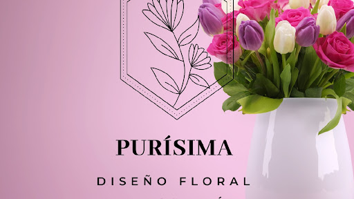 Purísima - Visual