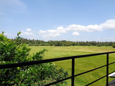 Photos of Samanala Rest