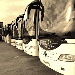 Photo n°12 de Transports Bethuizeau à Pornic (Déménageur)