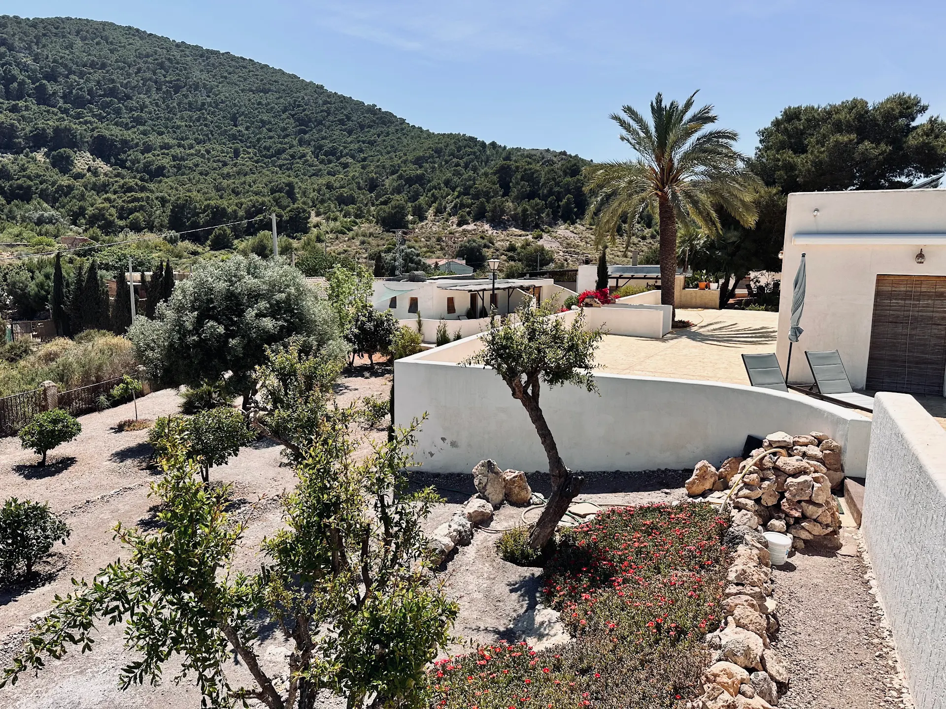 Finca Ocha