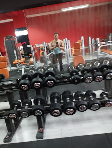 Pain & Gain Gym di Infusino Massimo - Thumbnail