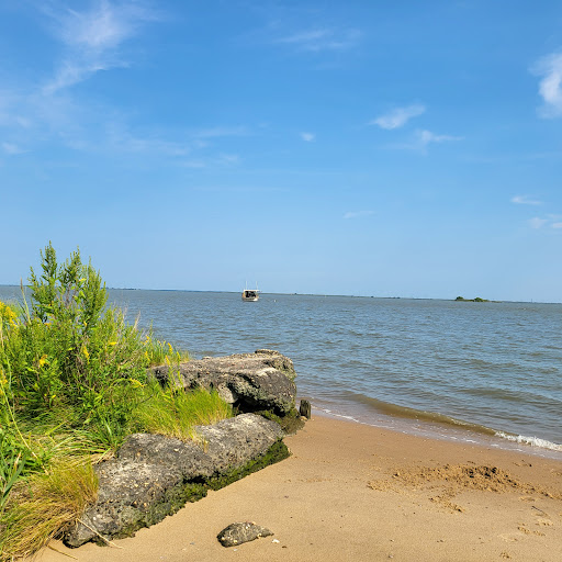 Augustine Beach Access Area - Visual