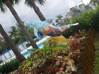 Photos of Rapids Water Park