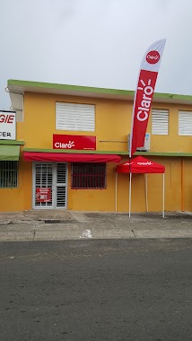 Celuresuelve CEIBA, Author: Lisandra Delgado