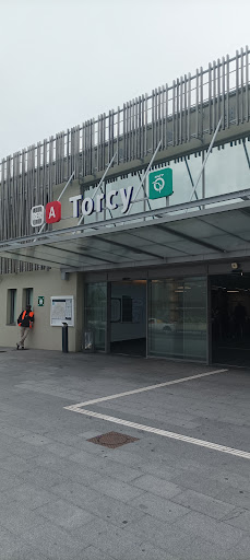 Gare de Torcy Logo