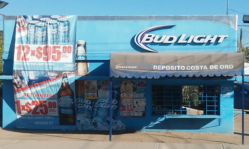 BUD LIGHT, PACIFICO, CORONA