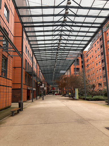 Olifan Group, Gestion de Patrimoine à Lyon