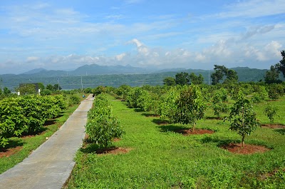 Photos of PT. Pembangkitan Jawa Bali - Badan Pengelola Waduk Cirata