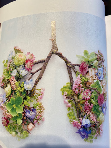 Osteopathie, Physiotherapie & Komplementärmedizin photo