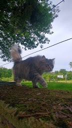 Photo n°16 de Chambres d'Hotes à La Chandelle à Epiry (Maison de vacances)