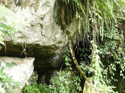 Photos of Samanala Aranya Senasanaya, Massenna Waththa