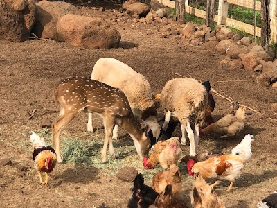 Lahaina Animal Farm & Petting Zoo