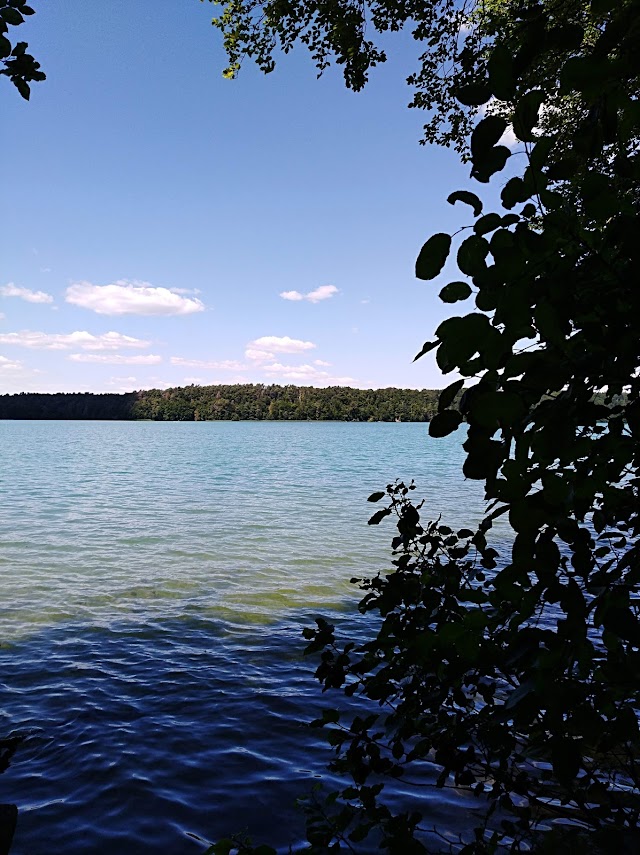 Stechlinsee