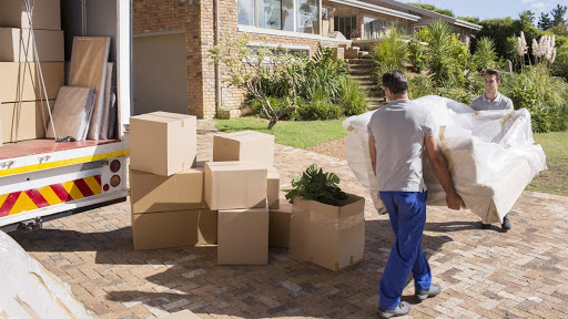 Mover Bradenton - Visual