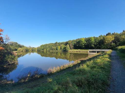 Stausee Arzfeld - Visual