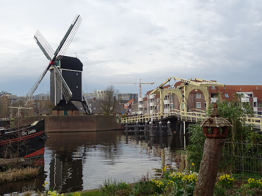 Rembrandt Bridge Gallery - Netherlands