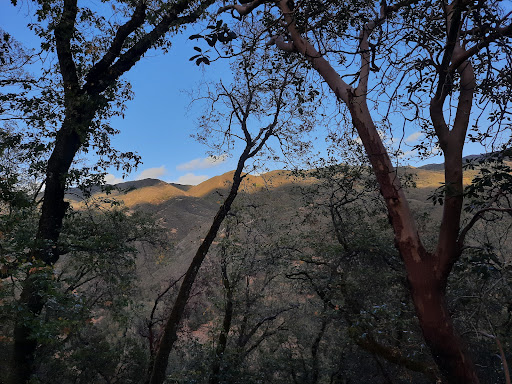 Mill Creek Park Ridge Trailhead