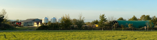 Ferme de millet, agneau, Ariège - Thumbnail