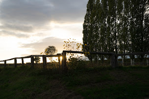 Photo n°9 de Club Hippique Chalonnais à Bey (Écurie)