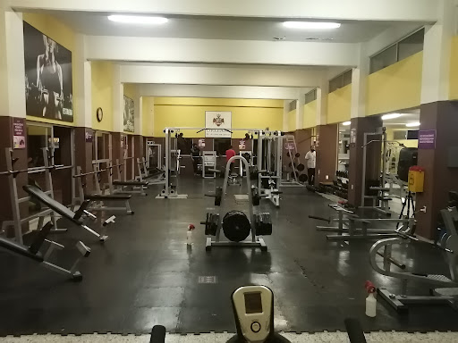 Gimnasio Pluviosilla Gallery - Mexico