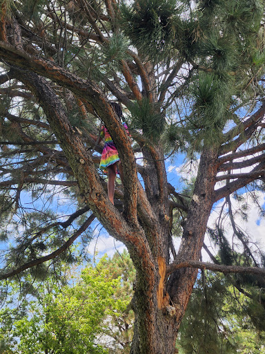 Apache Mesa Park - Visual
