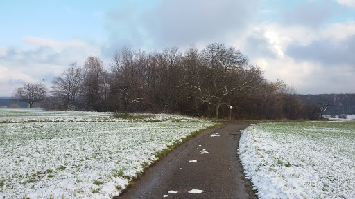 Vogelschutzanlage - Thumbnail