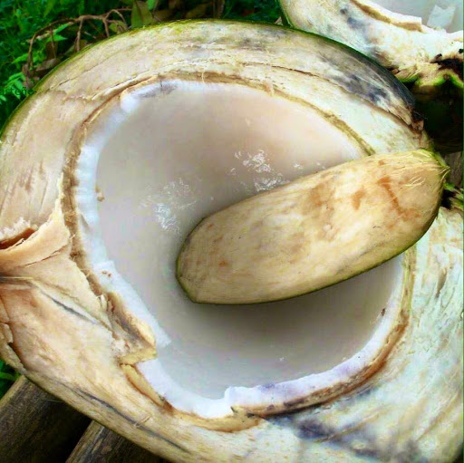 Tenexpa Cocos Fresh - Thumbnail
