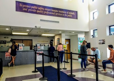 Anne Arundel County Animal Control