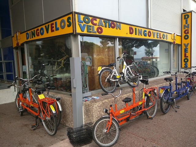 DingoVélos