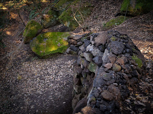 Opera Bosco - Thumbnail