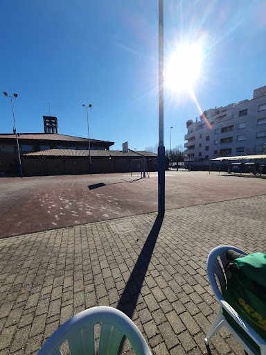 ASD UP Settimo - Visual