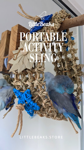 Little Beaks | Handmade Bird Enrichment Toys
