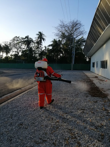 Fumigaciones Servicios Integrales Mexico