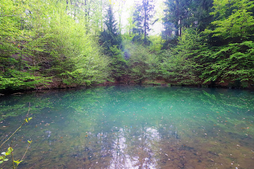 Wasserfall am Grünen See - Thumbnail
