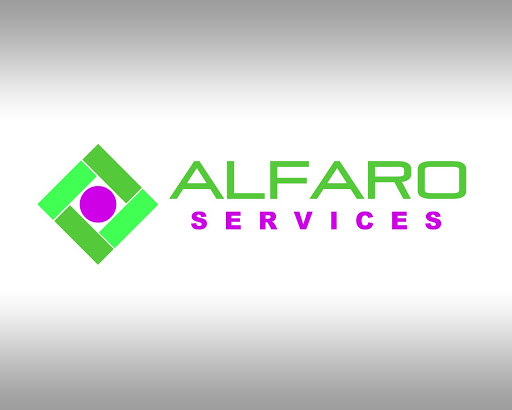 Alfaro Services - Visual