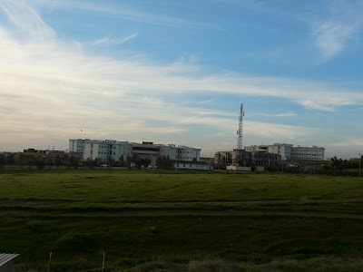 university