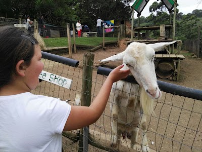 Photos of Animal Farm