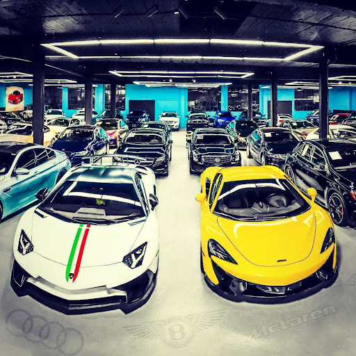 Carpapapa Auto Group Gallery - United States