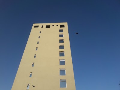 lodging